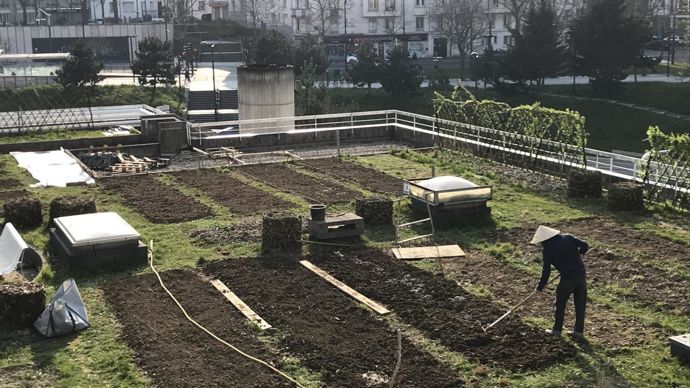 Mais l’agriculture urbaine comporte son lot de limites. Notamment, concernant le sol. Sur les toits et terrasses de l’hôpital Robert-Debré, le sol était très pauvre et il a fallu le travailler. © Ferme florale urbaine